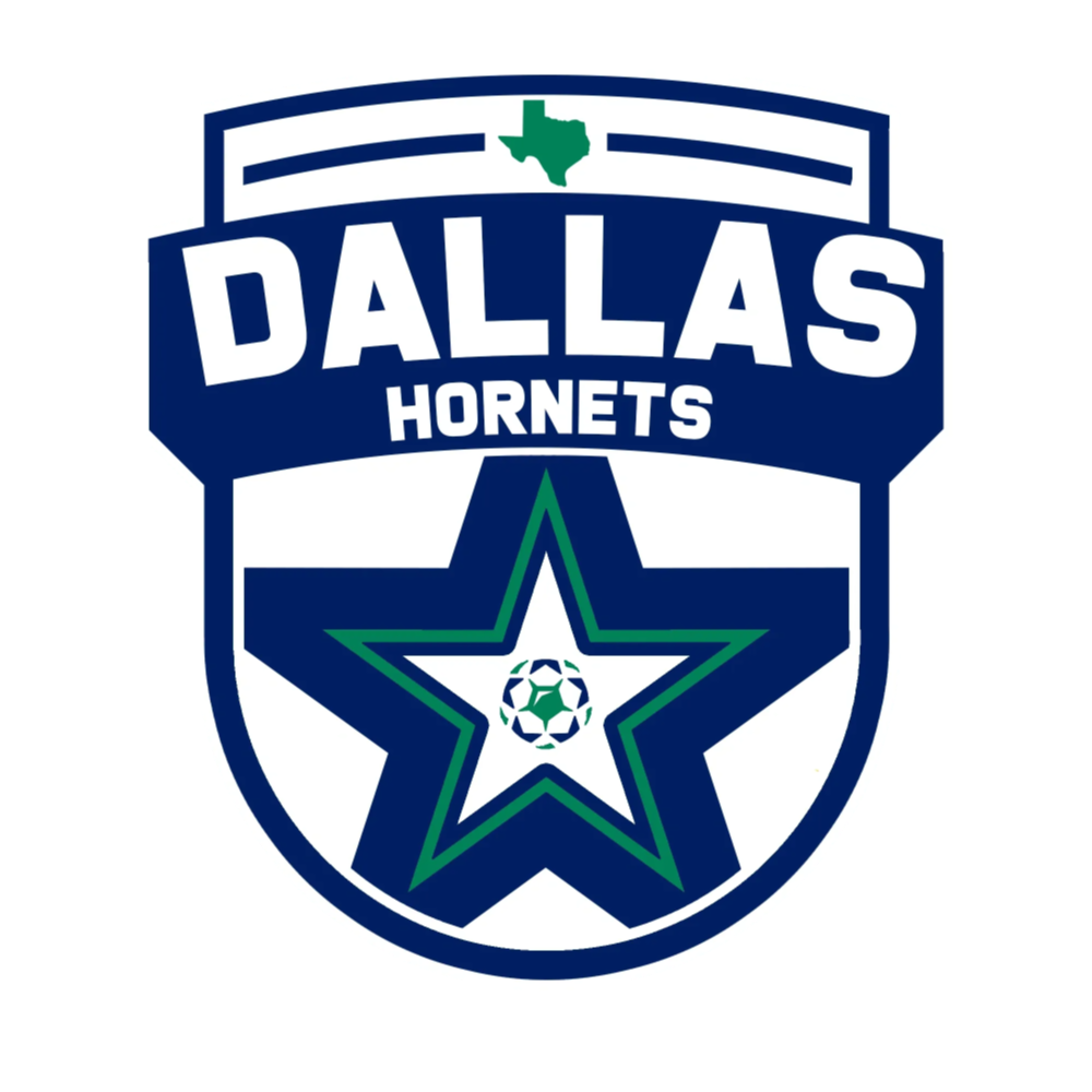 Dallas Hornets Logo